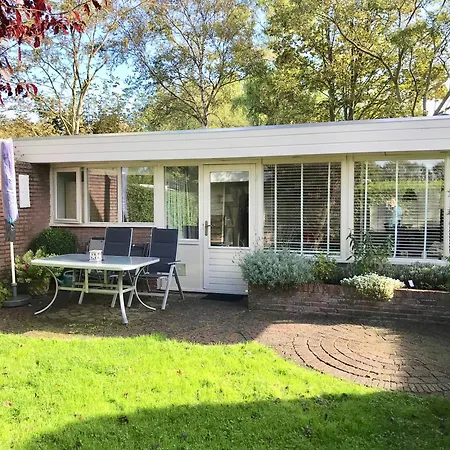 Marinus, Lovely Near The Sea And Beautiful Dune Area In The Netherlands Feriehus