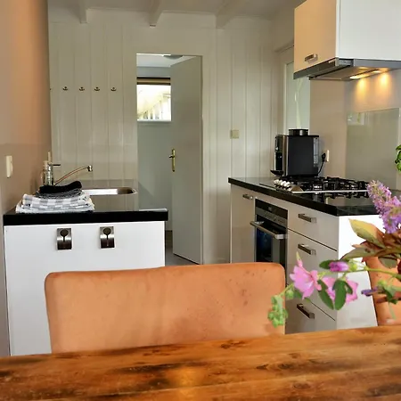 Marinus, Lovely Near The Sea And Beautiful Dune Area In The Netherlands