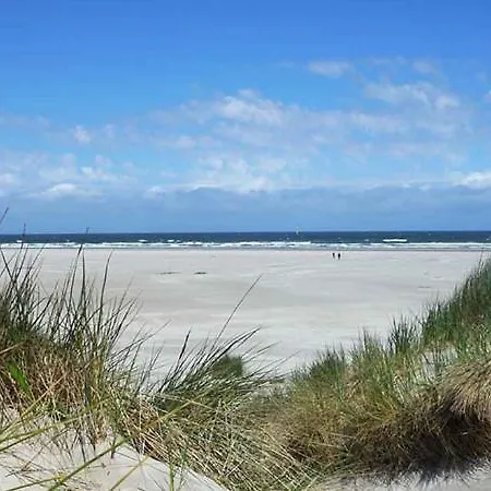 Casa de Férias Marinus, Lovely Near The Sea And Beautiful Dune Area In The Netherlands