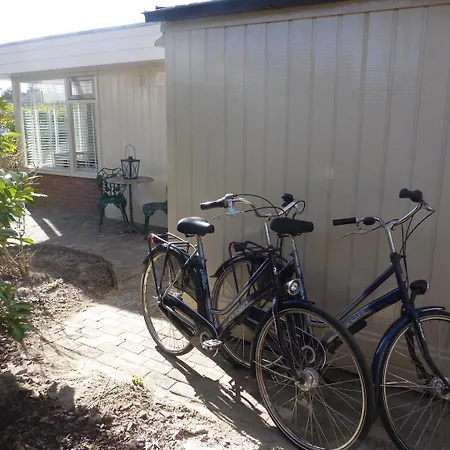 Marinus, Lovely Near The Sea And Beautiful Dune Area In The Netherlands Warmenhuizen