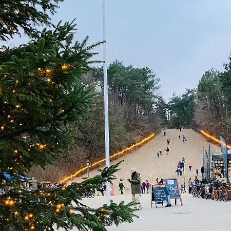 Marinus, Lovely Near The Sea And Beautiful Dune Area In The Netherlands Feriehus *