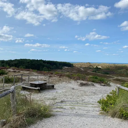 Marinus, Lovely Near The Sea And Beautiful Dune Area In The Netherlands Warmenhuizen