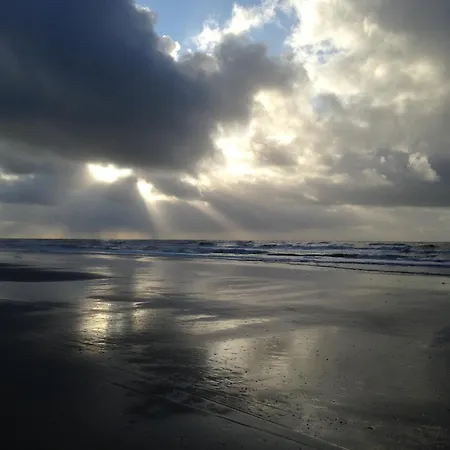 Marinus, Lovely Near The Sea And Beautiful Dune Area In The Netherlands