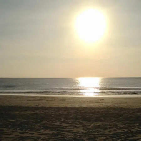 別荘 Marinus, Lovely Near The Sea And Beautiful Dune Area In The Netherlands