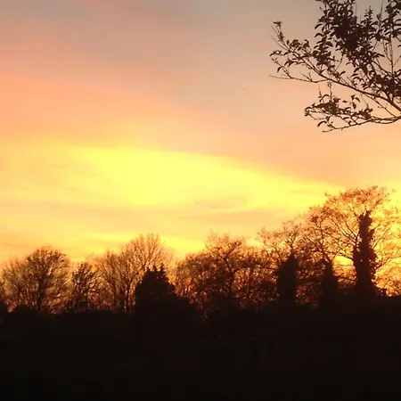 Feriehus Marinus, Lovely Near The Sea And Beautiful Dune Area In The Netherlands Warmenhuizen