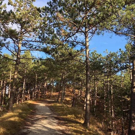別荘 Marinus, Lovely Near The Sea And Beautiful Dune Area In The Netherlands