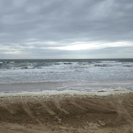 Marinus, Lovely Near The Sea And Beautiful Dune Area In The Netherlands *