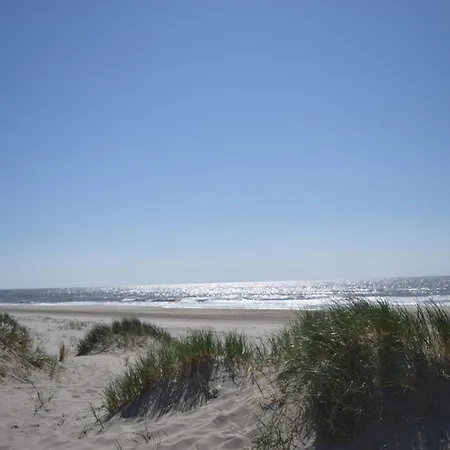 別荘 Marinus, Lovely Near The Sea And Beautiful Dune Area In The Netherlands *