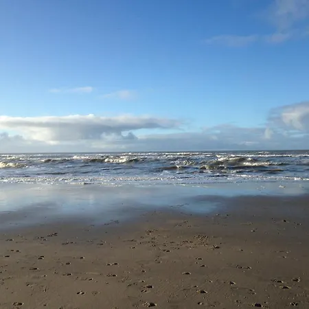 Feriehus Marinus, Lovely Near The Sea And Beautiful Dune Area In The Netherlands *
