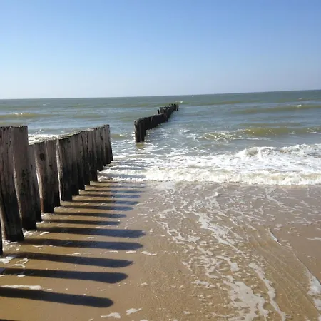 Marinus, Lovely Near The Sea And Beautiful Dune Area In The Netherlands * Warmenhuizen