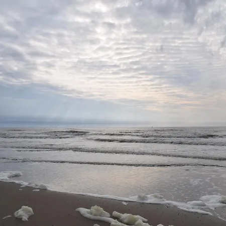 Marinus, Lovely Near The Sea And Beautiful Dune Area In The Netherlands *