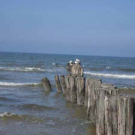 Marinus, Lovely Near The Sea And Beautiful Dune Area In The Netherlands