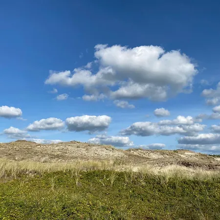 Marinus, Lovely Near The Sea And Beautiful Dune Area In The Netherlands
