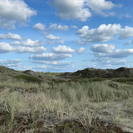 Marinus, Lovely Near The Sea And Beautiful Dune Area In The Netherlands * Warmenhuizen