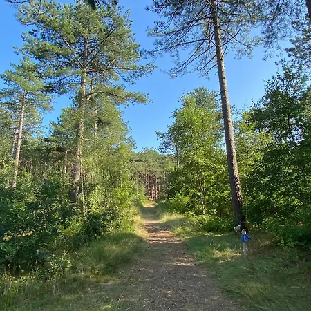 בית נופש Marinus, Lovely Near The Sea And Beautiful Dune Area In The Netherlands *