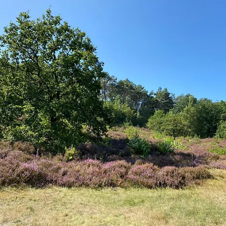 Marinus, Lovely Near The Sea And Beautiful Dune Area In The Netherlands Warmenhuizen