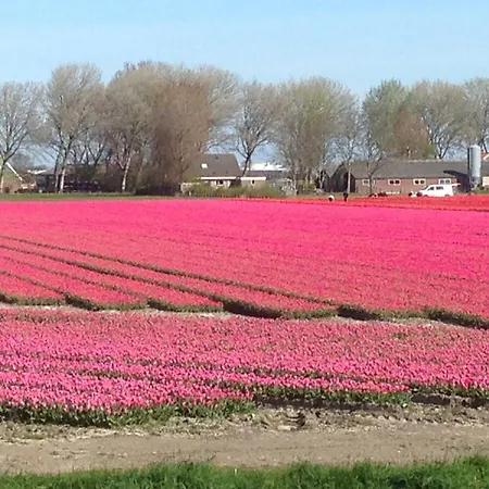 Marinus, Lovely Near The Sea And Beautiful Dune Area In The Netherlands בית נופש