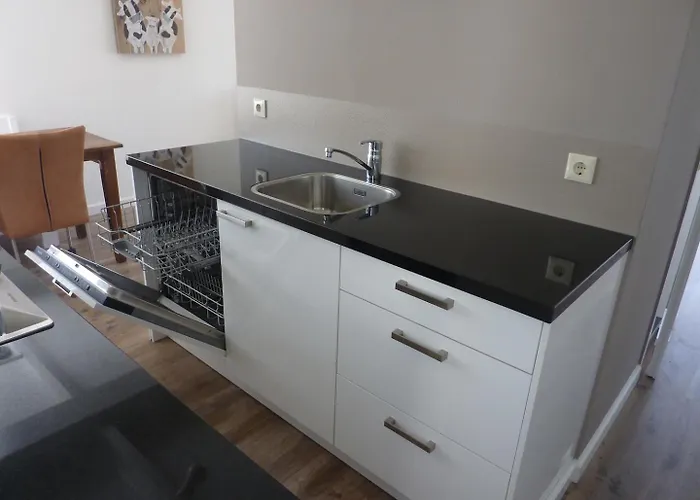 Marinus, Lovely Near The Sea And Beautiful Dune Area In The Netherlands * Warmenhuizen