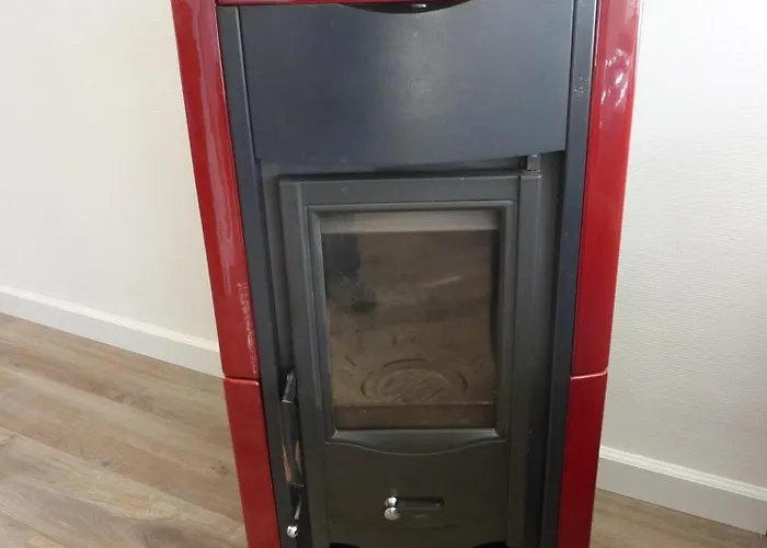 Marinus, Lovely Near The Sea And Beautiful Dune Area In The Netherlands *