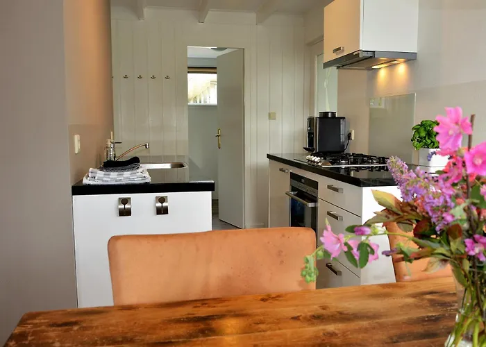 Marinus, Lovely Near The Sea And Beautiful Dune Area In The Netherlands