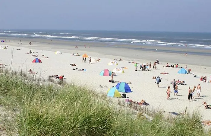 בית נופש Marinus, Lovely Near The Sea And Beautiful Dune Area In The Netherlands *