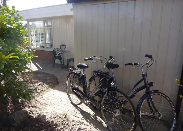 Marinus, Lovely Near The Sea And Beautiful Dune Area In The Netherlands Warmenhuizen