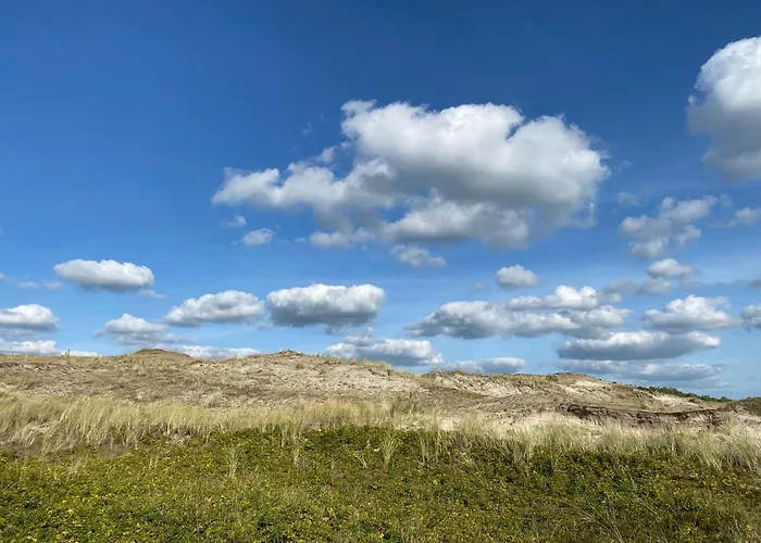 Marinus, Lovely Near The Sea And Beautiful Dune Area In The Netherlands