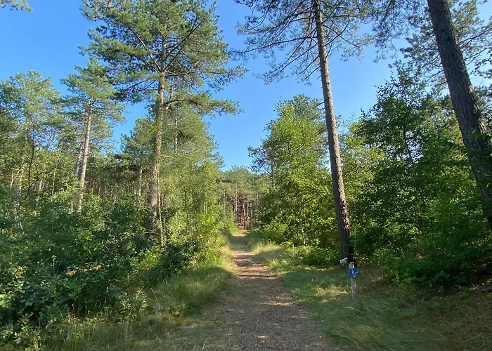 בית נופש Marinus, Lovely Near The Sea And Beautiful Dune Area In The Netherlands *