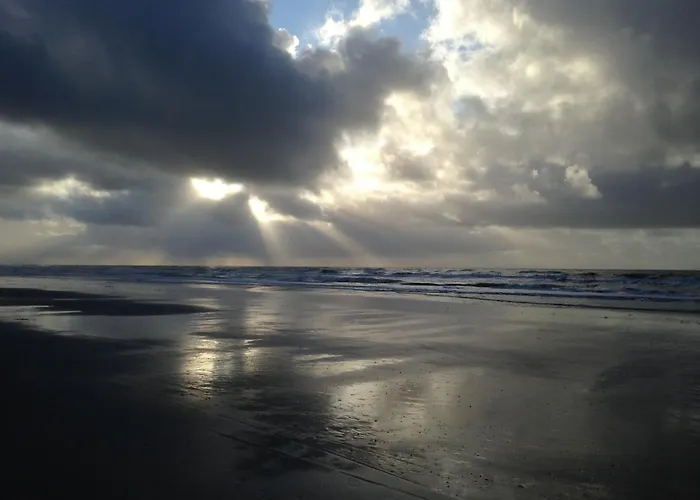 Marinus, Lovely Near The Sea And Beautiful Dune Area In The Netherlands