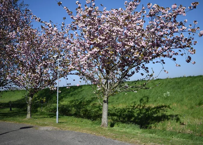 Marinus, Lovely Near The Sea And Beautiful Dune Area In The Netherlands בית נופש Warmenhuizen