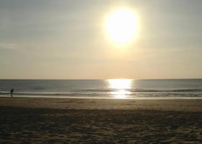 בית נופש Marinus, Lovely Near The Sea And Beautiful Dune Area In The Netherlands