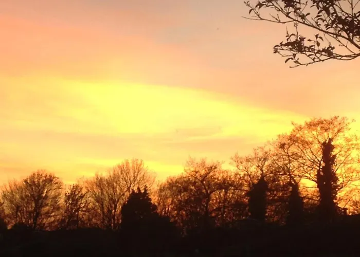 בית נופש Marinus, Lovely Near The Sea And Beautiful Dune Area In The Netherlands Warmenhuizen