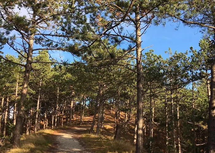 בית נופש Marinus, Lovely Near The Sea And Beautiful Dune Area In The Netherlands