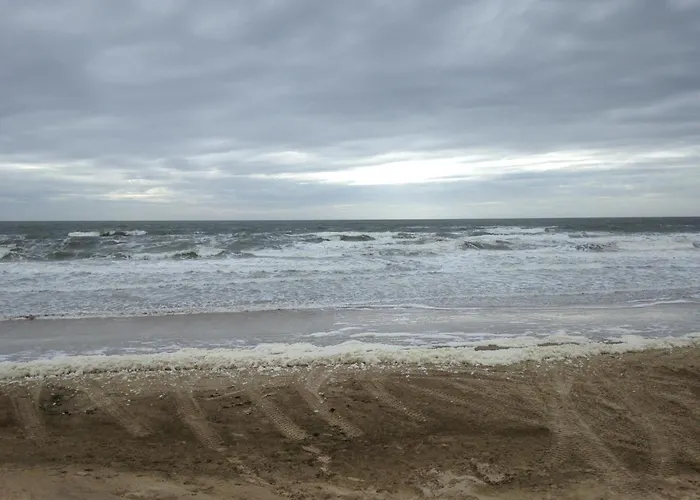 Marinus, Lovely Near The Sea And Beautiful Dune Area In The Netherlands *