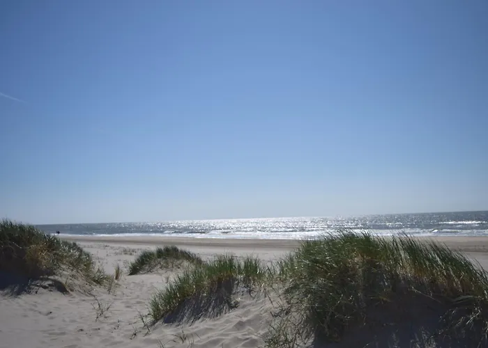 בית נופש Marinus, Lovely Near The Sea And Beautiful Dune Area In The Netherlands *