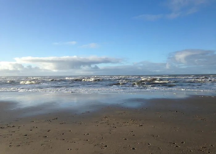 בית נופש Marinus, Lovely Near The Sea And Beautiful Dune Area In The Netherlands *