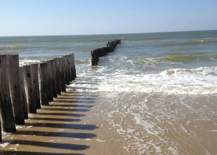 Marinus, Lovely Near The Sea And Beautiful Dune Area In The Netherlands * Warmenhuizen