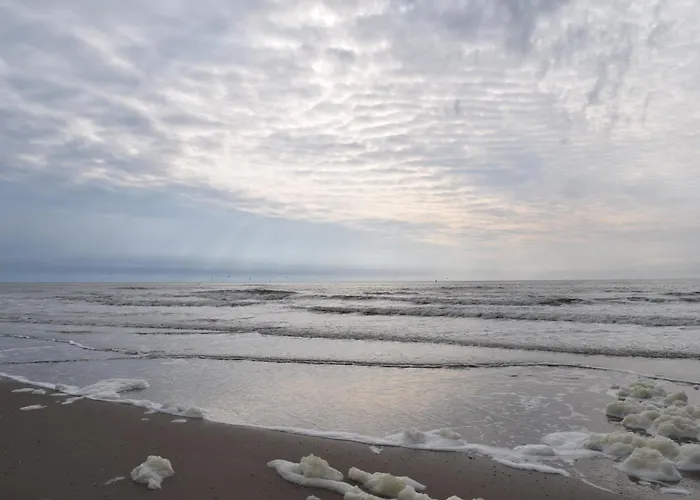 Marinus, Lovely Near The Sea And Beautiful Dune Area In The Netherlands *